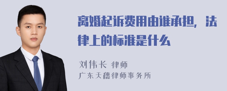 离婚起诉费用由谁承担，法律上的标准是什么