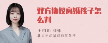 双方协议离婚孩子怎么判