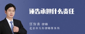 诬告承担什么责任