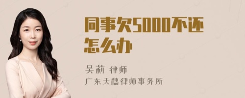 同事欠5000不还怎么办