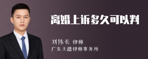 离婚上诉多久可以判