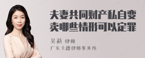 夫妻共同财产私自变卖哪些情形可以定罪