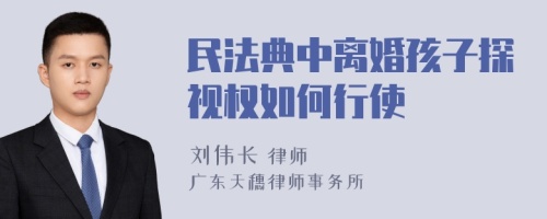 民法典中离婚孩子探视权如何行使