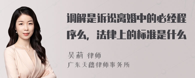 调解是诉讼离婚中的必经程序么，法律上的标准是什么