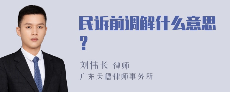 民诉前调解什么意思？