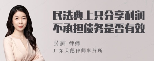 民法典上只分享利润不承担债务是否有效