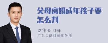 父母离婚成年孩子要怎么判