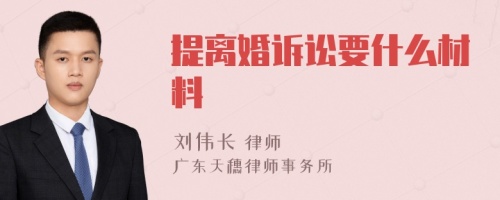 提离婚诉讼要什么材料