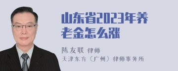 山东省2023年养老金怎么涨