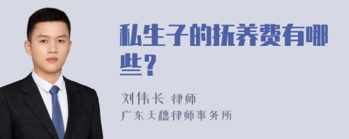 私生子的抚养费有哪些？