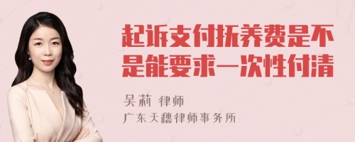 起诉支付抚养费是不是能要求一次性付清