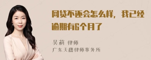 网贷不还会怎么样，我已经逾期有6个月了