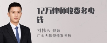 12万律师收费多少钱