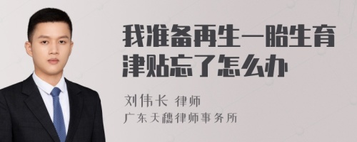 我准备再生一胎生育津贴忘了怎么办