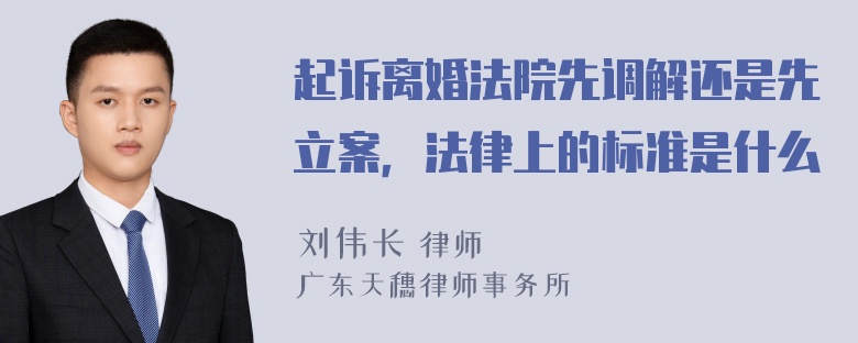 起诉离婚法院先调解还是先立案，法律上的标准是什么