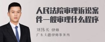 人民法院审理诉讼案件一般审理什么程序