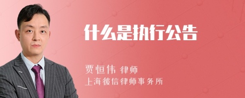 什么是执行公告