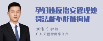 孕妇违反治安管理处罚法能不能被拘留