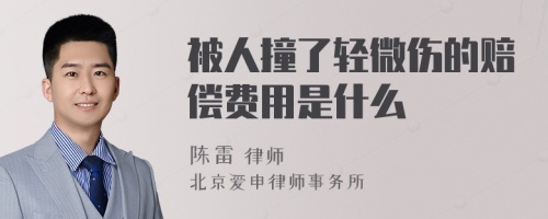 被人撞了轻微伤的赔偿费用是什么