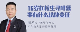 16岁在校生寻衅滋事有什么法律责任