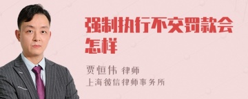 强制执行不交罚款会怎样