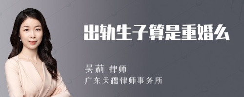 出轨生子算是重婚么