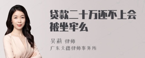 贷款二十万还不上会被坐牢么