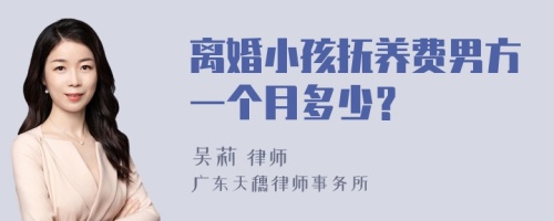 离婚小孩抚养费男方一个月多少？