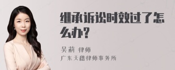 继承诉讼时效过了怎么办?