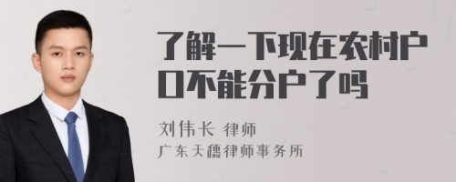 了解一下现在农村户口不能分户了吗