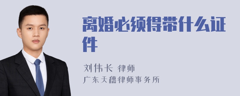 离婚必须得带什么证件