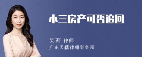 小三房产可否追回