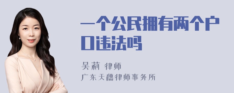 一个公民拥有两个户口违法吗