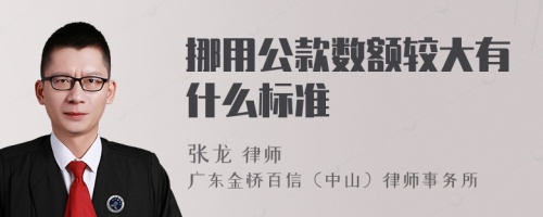 挪用公款数额较大有什么标准