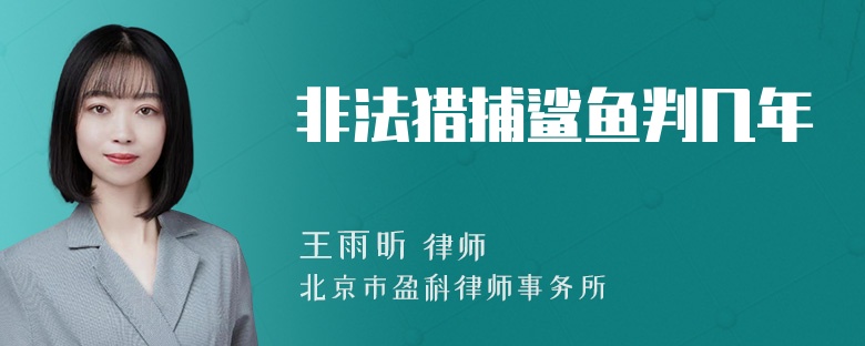 非法猎捕鲨鱼判几年