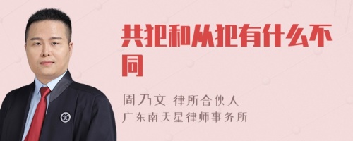 共犯和从犯有什么不同