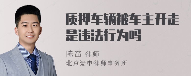 质押车辆被车主开走是违法行为吗