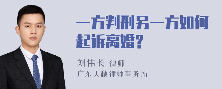 一方判刑另一方如何起诉离婚?