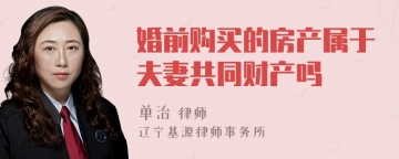 婚前购买的房产属于夫妻共同财产吗