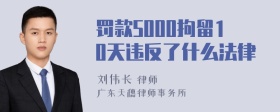 罚款5000拘留10天违反了什么法律