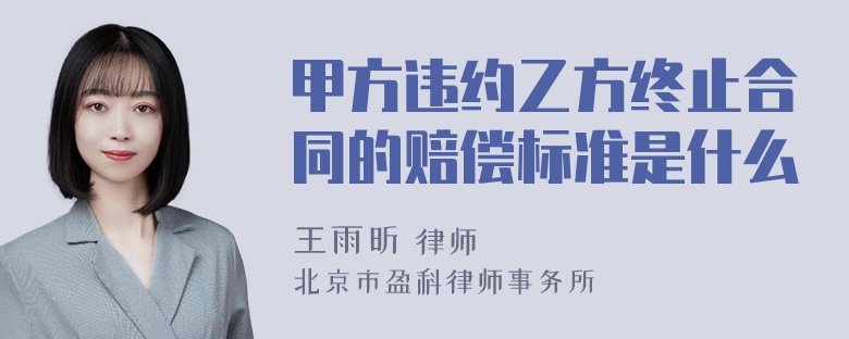 甲方违约乙方终止合同的赔偿标准是什么