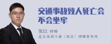 交通事故致人死亡会不会坐牢