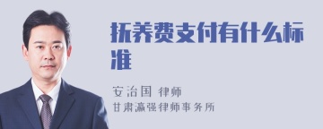 抚养费支付有什么标准