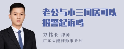 老公与小三同居可以报警起诉吗