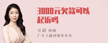 3000元欠款可以起诉吗