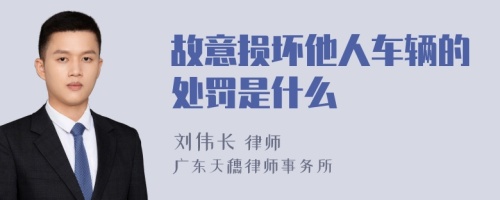 故意损坏他人车辆的处罚是什么