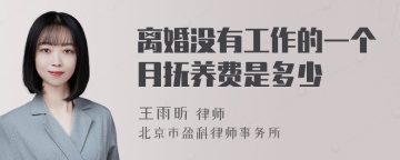 离婚没有工作的一个月抚养费是多少