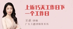 上诉15天工作日下一个工作日