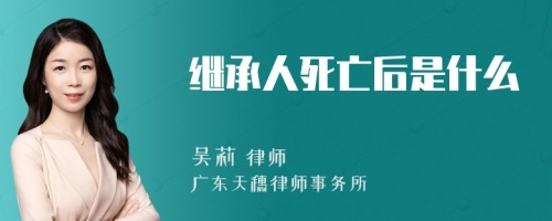 继承人死亡后是什么