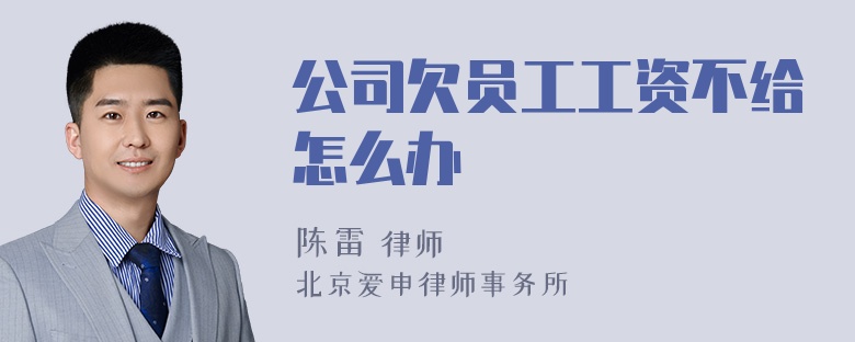 公司欠员工工资不给怎么办